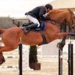 Équipement du cavalier : quels indispensables pour pratiquer l&rsquo;équitation dans de bonnes conditions ?